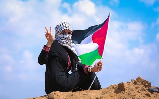 The ongoing Israel and Hamas conflict is affecting student organizations in Florida and across the country. (hosnysalah/Pixabay)