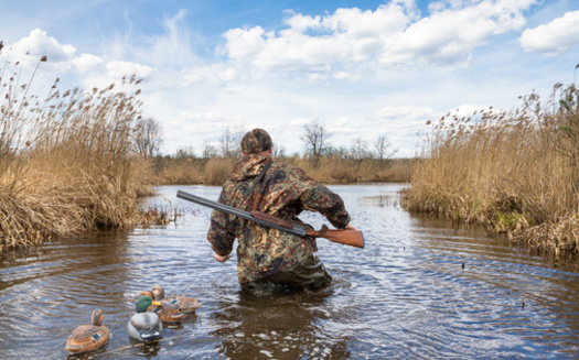 Missouri wetlands have been reduced to 643,000 acres, a loss of 87% from their original footprint. (rodimovpavel/Adobe Stock)