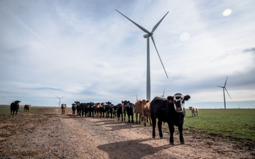 Since the summer of 2022, the State of Arizona has already secured more than $10 billion in new clean energy investments, which are projected to create more than 13,500 new jobs, according to Climate Power. (Adobe Stock) 