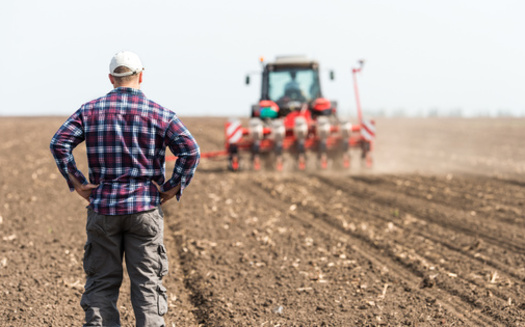 The Farm Credit System is cumulatively the largest lender to the agricultural sector, making about 45% of all agricultural loans, with $350 billion in assets. (Dusan Kostic/Adobe Stock)