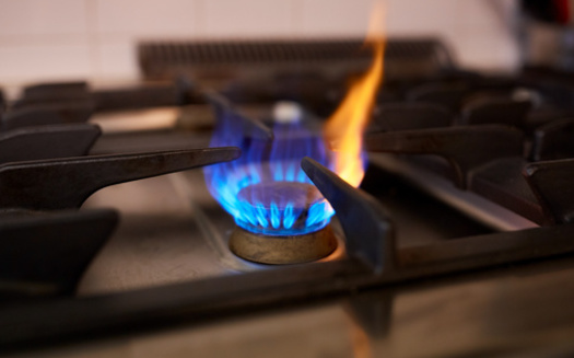 More than a third of Washington homes have gas-burning appliances such as stoves. (Syda Productions/Adobe Stock)