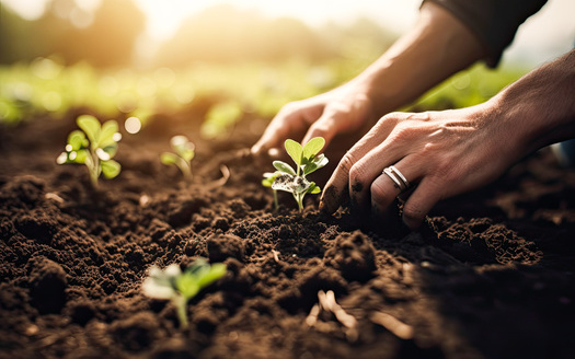 The Farm Credit System is cumulatively the largest lender to the agricultural sector, making about 45% of all agricultural loans, with $350 billion in assets. (Adobe Stock)