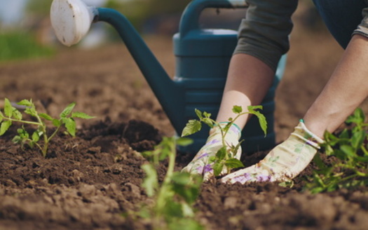 The Farm Credit System is cumulatively the largest lender to the agricultural sector, making about 45% of all agricultural loans, with $350 billion in assets. (DiedovStock/Adobe Stock)