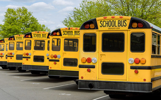 According to the website 'Illinois.gov,' the state has around 29,000 school buses operating as part of public school districts. (Adobe Stock)
