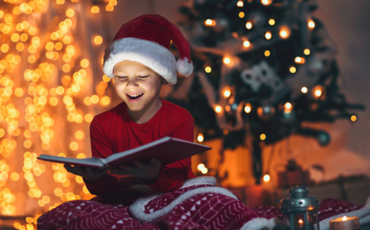 Toy drive organizers say books are a good donation approach for toy drives because a set of three can count as one whole gift as part of the toy limit for each child. (Adobe Stock)