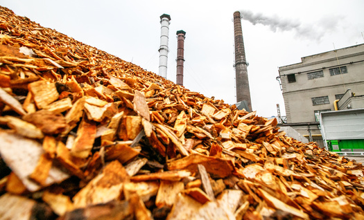 Un estudio del Southern Environmental Law Center de 2022 encuentra que las plantas de pellets de madera de Enviva en Virginia y Carolina del Norte cosechan 60,300 acres de bosques por ao. La tala de rboles de esta magnitud puede destruir ecosistemas necesarios y daar la calidad del agua. (Adobe Stock)