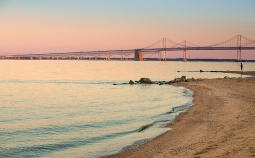 The Chesapeake Bay Foundation's biennial State of the Bay report gave the bay's overall health a D+, the same grade it received in 2020. (Adobe Stock)