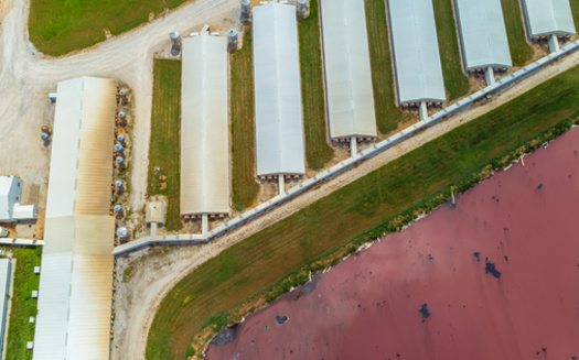 Large-scale farm operations have raised concerns about nearby public health effects across the country. (Aaron/Adobe Stock)