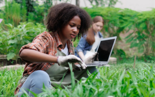 Beyond boosting land access, Minnesota's Route 1 organization is using a new grant to help emerging BIPOC farmers enhance their marketing operations. (Adobe Stock)