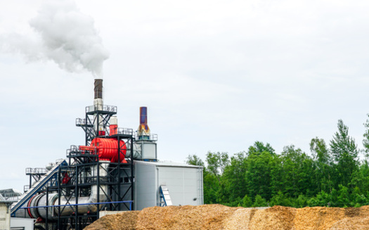 According to a new report, an inventory of emissions from wood-pellet production found more than 55 hazardous air pollutants, along with more than 10,000 tons of volatile organic compounds and more than 14,000 tons of particulate matter in annual emissions. (Adobe Stock)