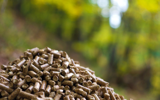 According to a new report, an inventory of emissions from wood-pellet production found more than 55 hazardous air pollutants, along with more than 10,000 tons of volatile organic compounds and more than 14,000 tons of particulate matter in annual emissions. (Daniel Vincek/Adobe Stock)