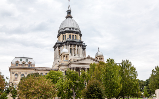 According to the Illinois General Assembly, at least 318 new pieces of legislation will go into effect in 2024 that will impact every area in the state. (Adobe Stock)