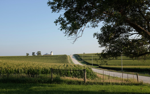 Iowa has among the highest rates of cancer in the United States, according to the National Cancer Institute. Research shows people in rural Iowa die more frequently from cancer than their urban counterparts. (Adobe Stock)