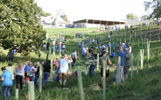 More than 250 volunteers planted 500 trees on a Pennsylvania farm, helping to reduce the effects of climate change. (Chesapeake Bay Foundation)