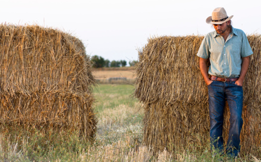 Economic uncertainty, severe weather and other factors beyond their control can lead to mental-health challenges for farmers and ranchers. (KornFlakes/Adobe Stock)