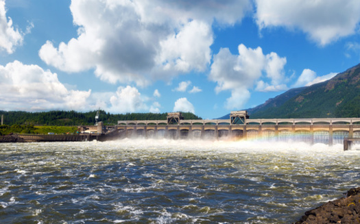 Only some fish species near Bradford Island on the Columbia River are safe to eat. (J-B-C/Adobe Stock)