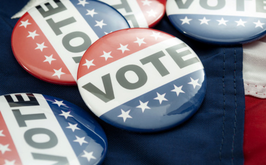 La eleccin primaria de preferencia presidencial de 2024 se llevar a cabo el martes 6 de febrero de 2024. La votacin anticipada comienza el sbado 27 de enero y se extender hasta el viernes 2 de febrero de 2024. (Victor Moussa / Adobe Stock)