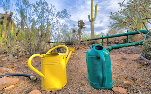 Most Arizona voters believe the drought is continuing to worsen, and that policymakers need to do more to protect the state's water future and secure long-term water supplies. (Adobe Stock) 