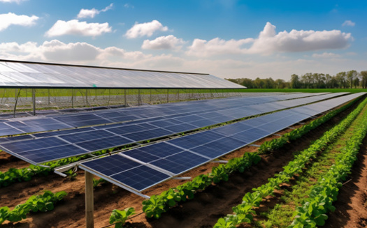 According to the Clean Grid Alliance, Minnesota farmers, ranchers and landowners receive nearly $9 million annually from land lease payments related to solar projects on their property. (Adobe Stock)