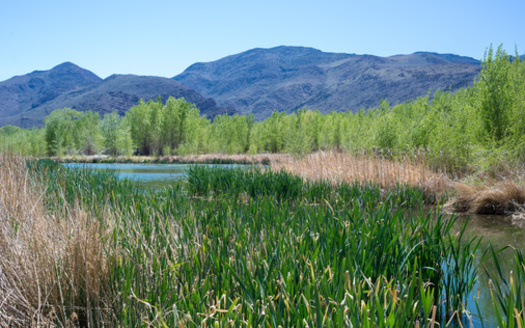 In 2018, the City of Reno, Nevada, agreed to allow Truckee Meadows Parks Foundation to work on a decommissioned golf course. (Dominic Gentilcore/Adobe Stock) 
