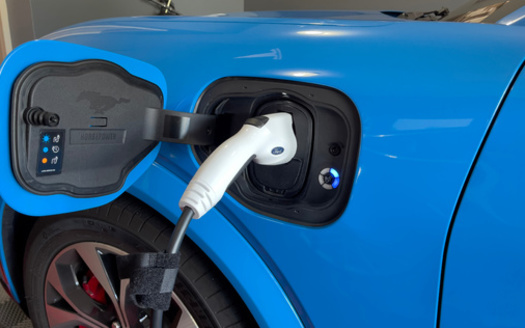 There are 37 EV models available for less than the average new vehicle purchase price of $48,000, according to the Environmental Defense Fund. (Terry Lee White / Adobe Stock)