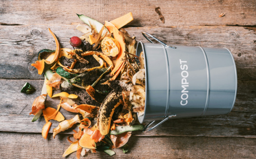 Data from 2021 estimated only 3.5% of organic waste generated in Baltimore was diverted for composting. (Adobe Stock)