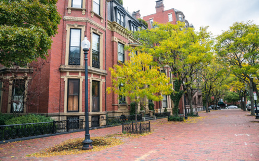 Studies show a correlation between ample tree canopy in urban areas and reduced heat-related ambulance calls during extreme heat events. (Adobe Stock)