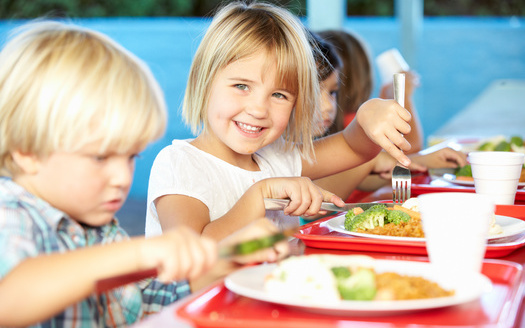 Legislative supporters say had South Dakota taken part in a new federally funded summer meal program for low-income families, an estimated 54,000 children around the state would have benefited. (Adobe Stock)