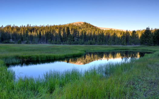 The lands under consideration for the Stttla National Monument in the Medicine Lake Highlands are currently managed by the U.S. Forest Service. (Bob Wick)