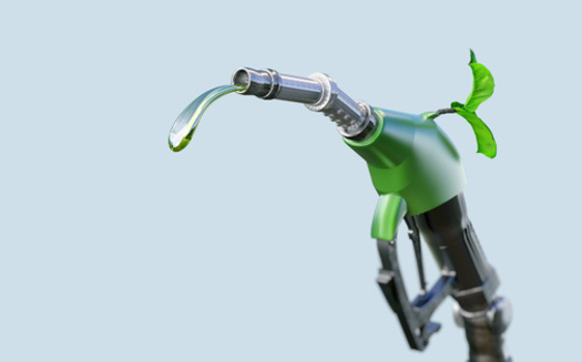 Backers of establishing a cleaner standard for transportation fuel in Minnesota say it would apply to both in-state producers, as well fuel that's imported. (Adobe Stock)