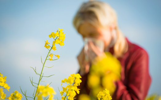 According to the Centers for Disease Control and Prevention, more than one in four adults and almost 20% of children in the United States have a seasonal allergy. (Sandor Jackal/Adobe Stock)