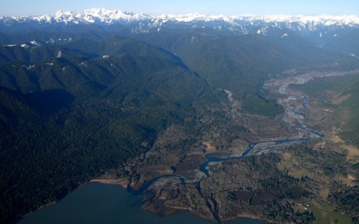 The Quinault Indian Nation has been working on purchasing forest parcesl on their reservation on the Olympic Peninsula for several decades. (Sam Beebe/Flickr)