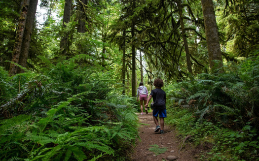 Organizations helping underserved youth get outdoors can receive up to $150,000 in grant funding from Washington state. (Brocreative/Adobe Stock)
