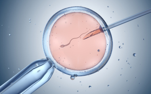 Around 42% of U.S. adults say they or someone they know has used fertility treatments, according to Pew Research Center. (Tatiana Shepeleva / Adobe Stock)