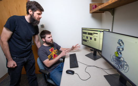 Iowa State University Assistant Biochemistry Professor Walter Moss and graduate student Jake Peterson discuss a computer rendering of an RNA molecule. (Iowa State University)