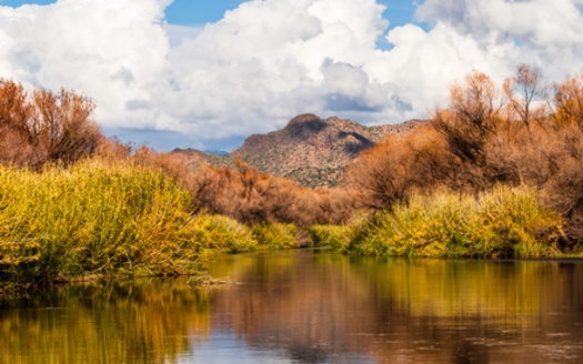 The Nature Conservancy Arizona will use the funding to purchase conservation easements from willing landowners on up to 20,000 acres. (Juliana Swenson/Adobe Stock)