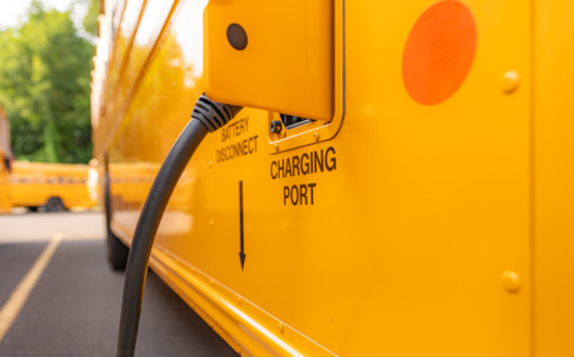Electric school buses are in the minority, with about 95% of school buses nationwide running on diesel. (Thomas/Adobe Stock)