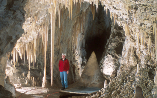 Stalactites cling to the roof of what's called the "Big Room" at New Mexico's Carlsbad Caverns National Park in the Chihuahuan desert. (nps.gov)