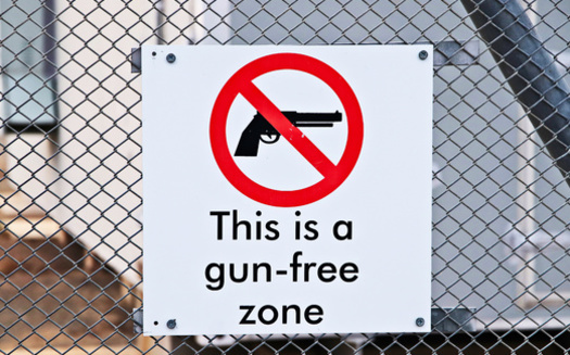 Unlike some states, Michigan requires that citizens apply for a purchase license before buying a firearm. (MATTHEW)