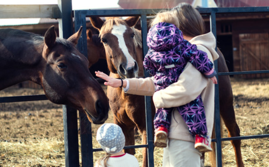 The latest Kids Count Data Book from the Annie E. Casey Foundation ranked Idaho high in the family and community category, at fourth best in the nation. (Vadim Sofin/Adobe Stock)