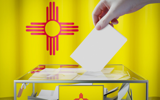 The New Mexico Secretary of State says paper ballots are used in 100% of elections to ensure there's always physical ballots that can be recounted if necessary. (AdobeStock: PX Media)