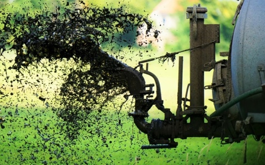 Proposed water permit changes in Minnesota to limit harmful runoff from industrial farms would only cover about 1,000 of the state's 17,000 livestock feedlots. However, environmental groups said the affected farms generate about one-third of the manure spread on agricultural fields. (Adobe Stock)