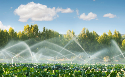 Agriculture accounts for nearly 85% of Oregon's water use. (Deyan Georgiev/Adobe Stock)