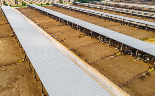 Large confined animal feeding operations can pose pollution threats to surface and groundwater. (Aaron/Adobe Stock)