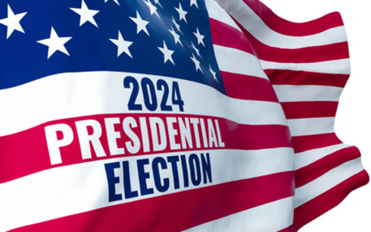 Democrats have a chance for a reset at their August convention, but an SMU political science professor says the party must proceed carefully to pick its new presidential nominee in a smooth and graceful manner. (Fox_Dsign/Adobe Stock)