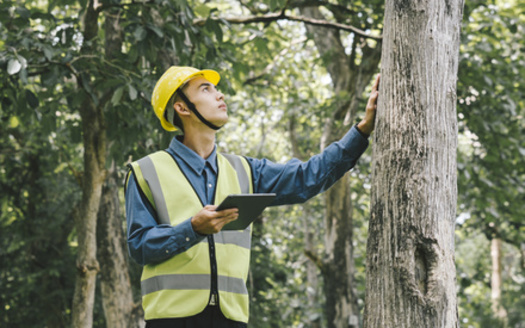 Those selected for the new Forest Corps must be prepared to handle hiking long distances while carrying a heavy backpack, traverse uneven terrain and be able to complete labor-intensive outdoor projects. (Adobe Stock) 
