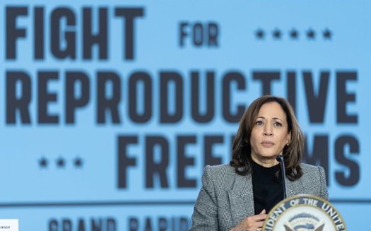 Vice President Kamala Harris spoke at a political event in Grand Rapids, Mich., in early 2024. (The White House/Wikimedia Commons)