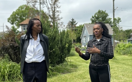 The latest project for Rhonda and Kim Theus, 