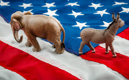 National polling shows most Americans closely follow presidential election news but start to feel worn out by the coverage when Election Day draws closer. (Adobe Stock)