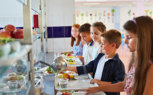 The average meal debt per child nationally is $180.60 yearly, according to the Education Data Initiative. (Adobe Stock) 
